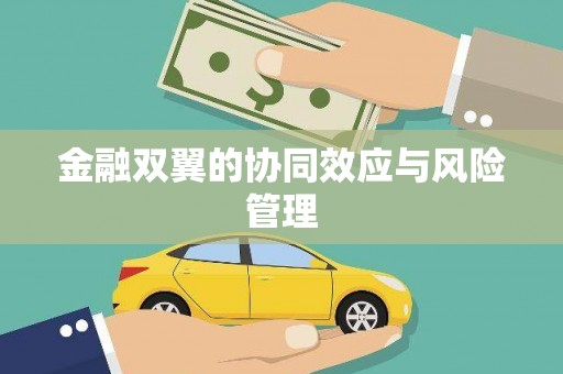 灌阳金融双翼的协同效应与风险管理