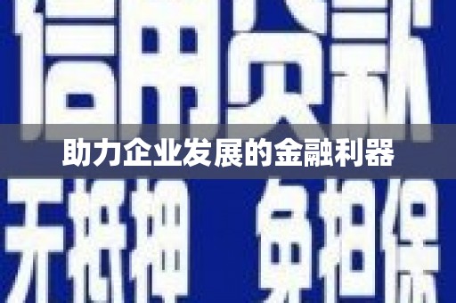 灌阳助力企业发展的金融利器