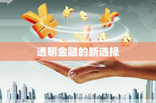 灌阳透明金融的新选择
