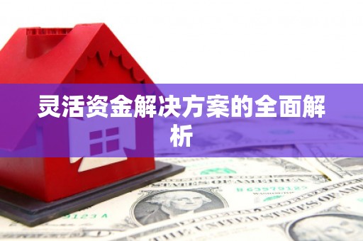 灌阳灵活资金解决方案的全面解析