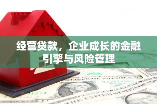 灌阳经营贷款，企业成长的金融引擎与风险管理