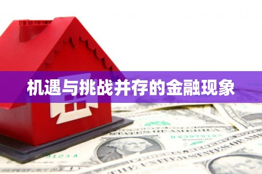 灌阳机遇与挑战并存的金融现象