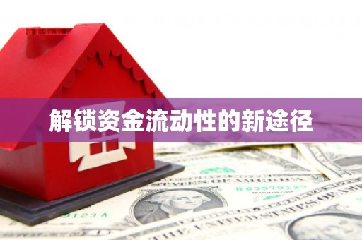 灌阳解锁资金流动性的新途径