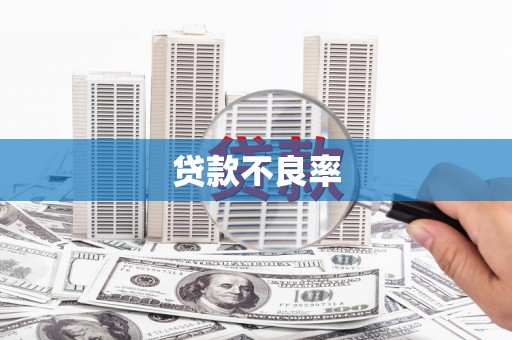 灌阳贷款不良率